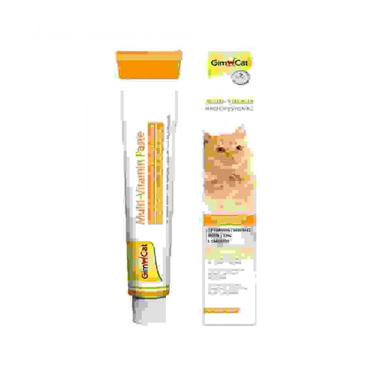 Gimcat Multi Vitamin Paste 100 gr Kedi Macunu